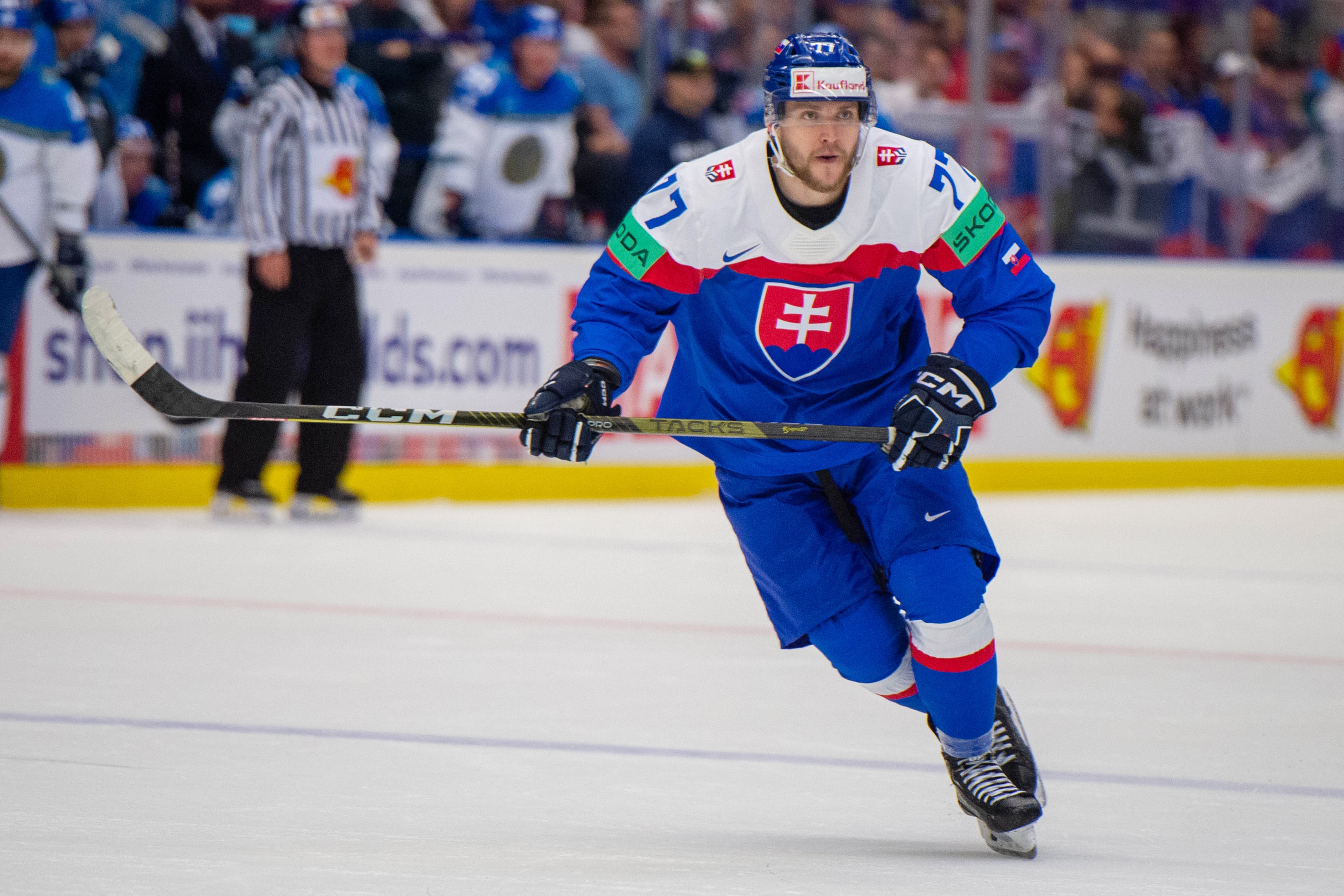 Hokejová reprezentácia